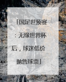 国足世预赛：无缘世界杯后，球迷低价抛售球票