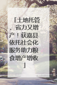 土地托管、省力又增产！获嘉县依托社会化服务助力粮食增产增收