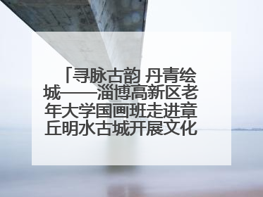 寻脉古韵 丹青绘城——淄博高新区老年大学国画班走进章丘明水古城开展文化研学活动