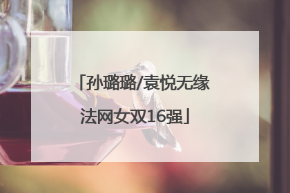 孙璐璐/袁悦无缘法网女双16强
