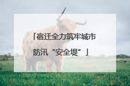 宿迁全力筑牢城市防汛“安全堤”