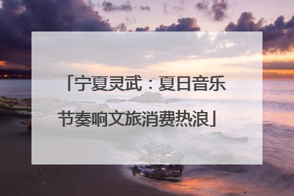 宁夏灵武：夏日音乐节奏响文旅消费热浪