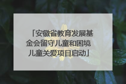 安徽省教育发展基金会留守儿童和困境儿童关爱项目启动