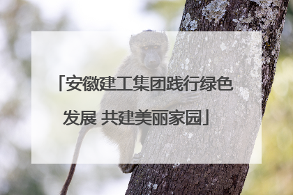 安徽建工集团践行绿色发展 共建美丽家园