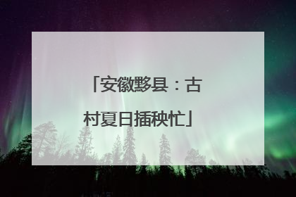 安徽黟县：古村夏日插秧忙