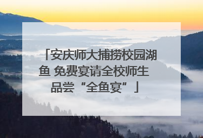 安庆师大捕捞校园湖鱼 免费宴请全校师生品尝“全鱼宴”
