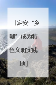 定安“乡咖”成为特色文明实践地