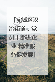 宛城区汉冶街道：党员干部进企业 精准服务促发展