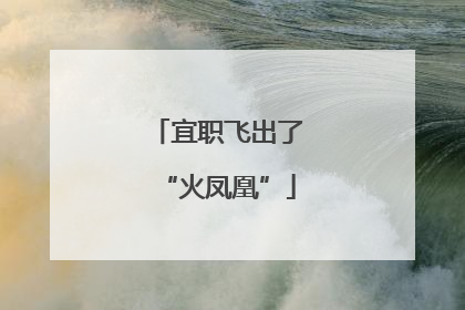 宜职飞出了“火凤凰”