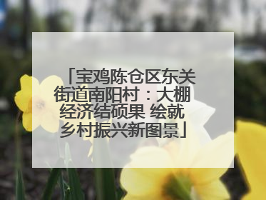 宝鸡陈仓区东关街道南阳村：大棚经济结硕果 绘就乡村振兴新图景