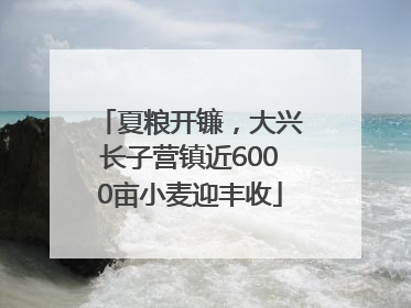 夏粮开镰，大兴长子营镇近6000亩小麦迎丰收