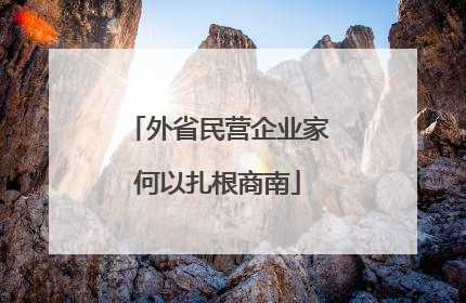 外省民营企业家何以扎根商南