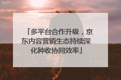 多平台合作升级，京东内容营销生态持续深化种收协同效率