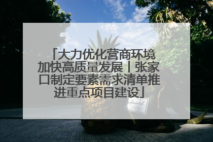 大力优化营商环境 加快高质量发展丨张家口制定要素需求清单推进重点项目建设