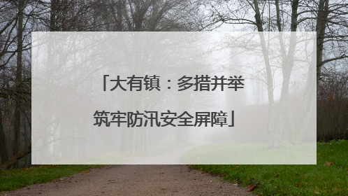 大有镇：多措并举筑牢防汛安全屏障