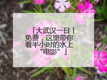 大武汉一日︱免费，这里带你看半小时的水上“电影”