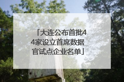 大连公布首批44家设立首席数据官试点企业名单