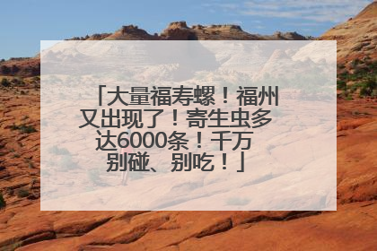 大量福寿螺！福州又出现了！寄生虫多达6000条！千万别碰、别吃！