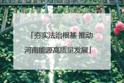 夯实法治根基 推动河南能源高质量发展