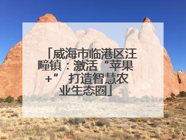 威海市临港区汪疃镇：激活“苹果+” 打造智慧农业生态圈