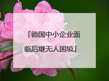德国中小企业面临后继无人困境