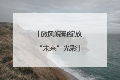 徽风皖韵绽放“未来”光彩