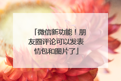 微信新功能！朋友圈评论可以发表情包和图片了