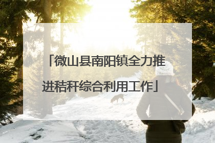 微山县南阳镇全力推进秸秆综合利用工作
