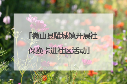 微山县驩城镇开展社保换卡进社区活动