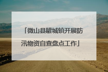 微山县驩城镇开展防汛物资自查盘点工作