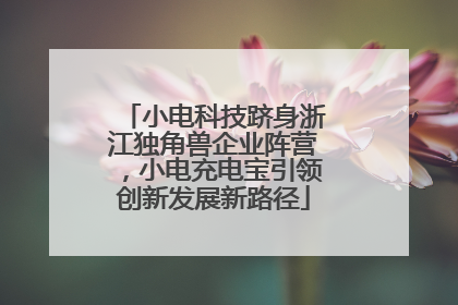 小电科技跻身浙江独角兽企业阵营，小电充电宝引领创新发展新路径