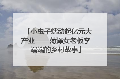 小虫子蠕动起亿元大产业——菏泽女老板李端端的乡村故事
