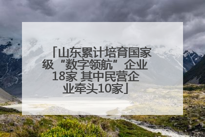 山东累计培育国家级“数字领航”企业18家 其中民营企业牵头10家