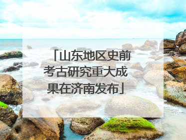 山东地区史前考古研究重大成果在济南发布