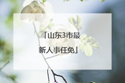 山东3市最新人事任免