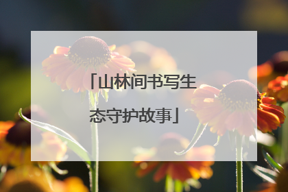 山林间书写生态守护故事