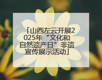 山西左云开展2025年“文化和自然遗产日”非遗宣传展示活动