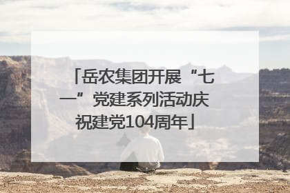 岳农集团开展“七一”党建系列活动庆祝建党104周年