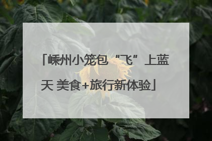 嵊州小笼包“飞”上蓝天 美食+旅行新体验