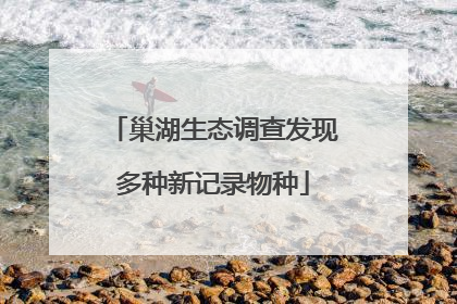 巢湖生态调查发现多种新记录物种