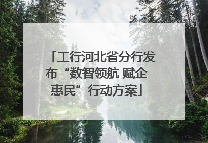 工行河北省分行发布“数智领航 赋企惠民”行动方案