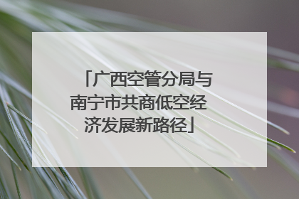 广西空管分局与南宁市共商低空经济发展新路径
