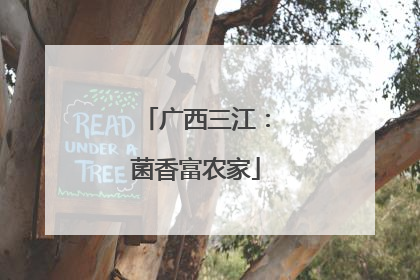 广西三江：菌香富农家