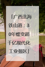 广西北海铁山港：30年蝶变超千亿现代化工业强区