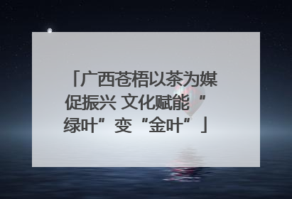广西苍梧以茶为媒促振兴 文化赋能“绿叶”变“金叶”