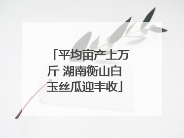 平均亩产上万斤 湖南衡山白玉丝瓜迎丰收