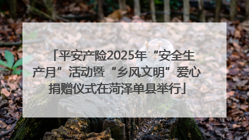 平安产险2025年“安全生产月”活动暨“乡风文明”爱心捐赠仪式在菏泽单县举行