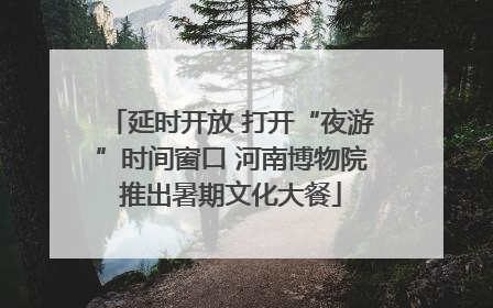 延时开放 打开“夜游”时间窗口 河南博物院推出暑期文化大餐