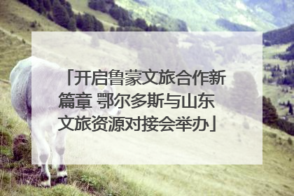 开启鲁蒙文旅合作新篇章 鄂尔多斯与山东文旅资源对接会举办