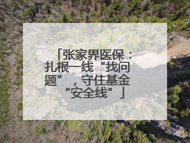 张家界医保：扎根一线“找问题”，守住基金“安全线”